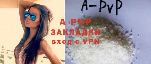 PSILOCYBIN Саки