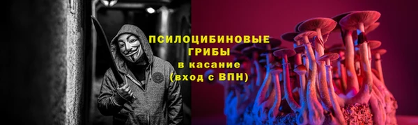 мяу мяу кристалл Бикин
