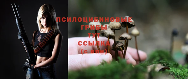 амфетамин Билибино