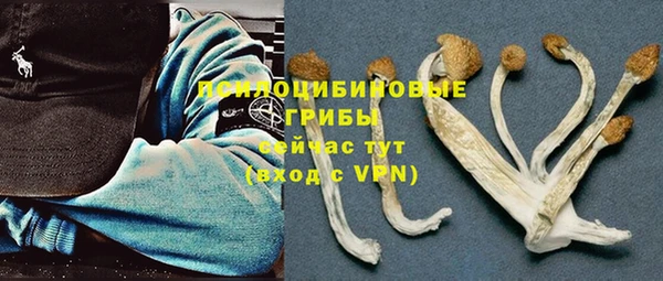 прущая мука Беслан