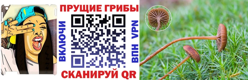 ссылка на мегу ССЫЛКА  Хотьково  Псилоцибиновые грибы GOLDEN TEACHER 